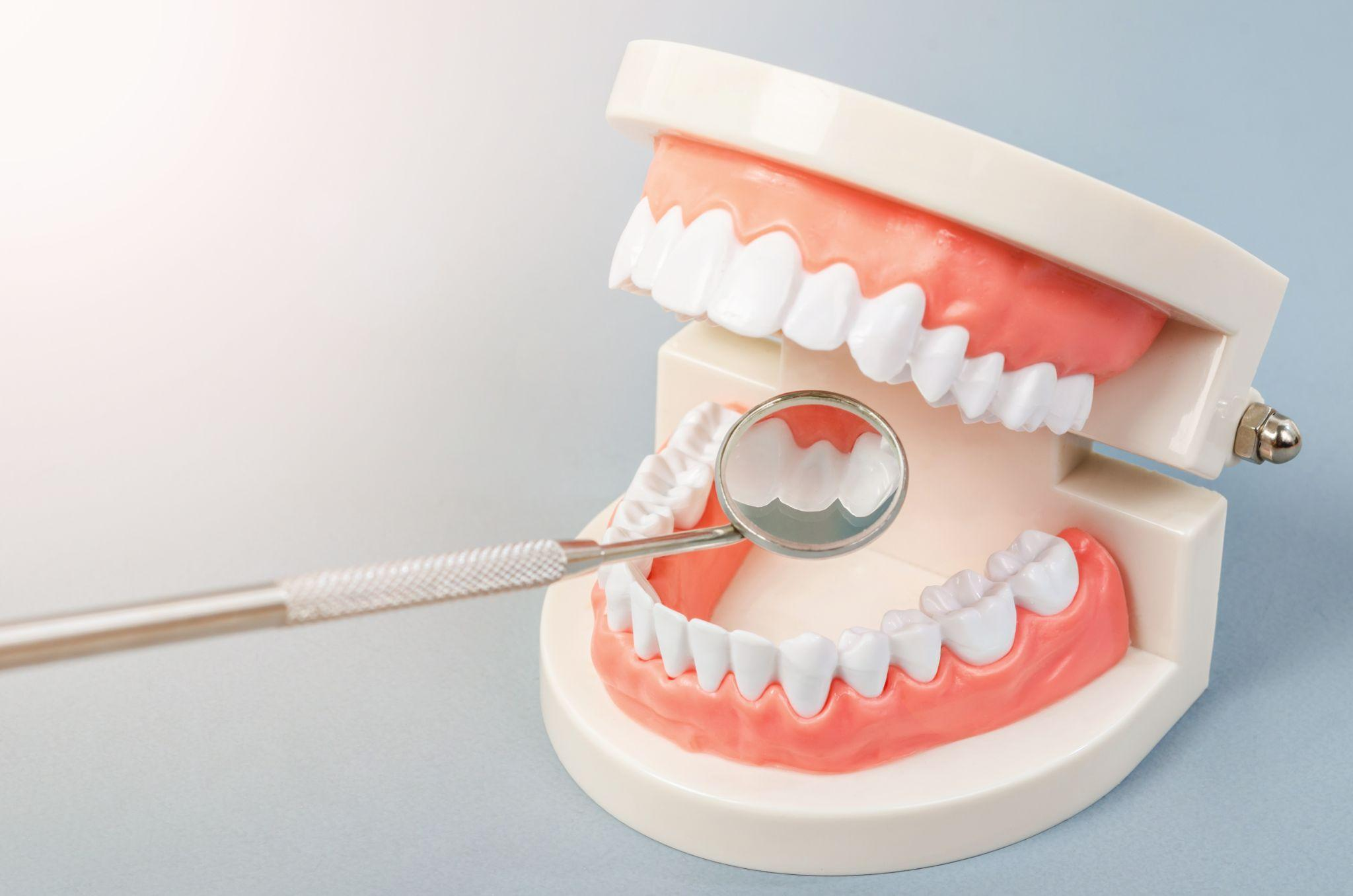 定期検診でのチェックも積極的に