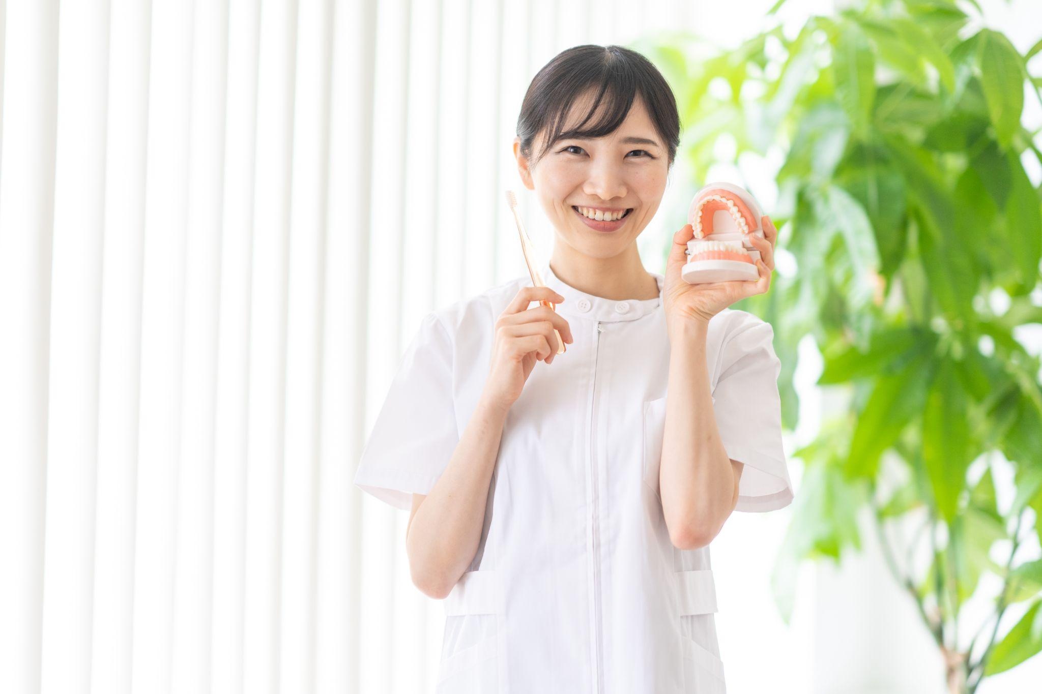 学校歯科検診の「歯列・咬合」とは何を見ているか